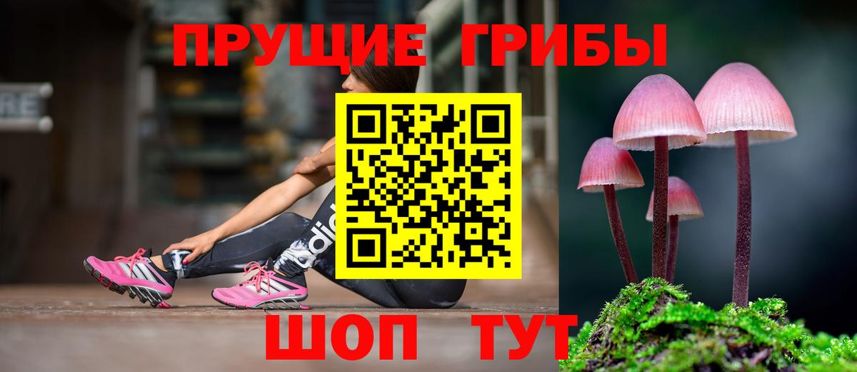 Псилоцибиновые грибы мухоморы Трёхгорный